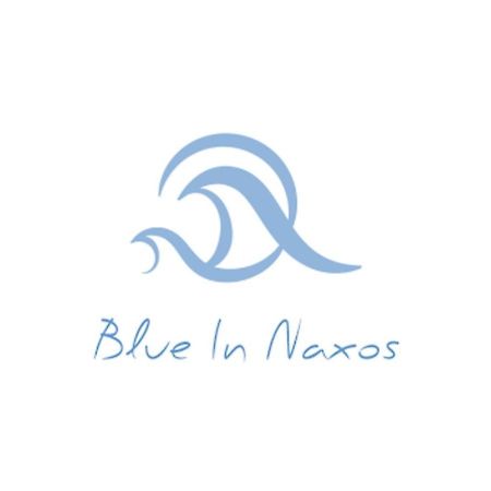 Blue In Naxos Hotel Naxos City Eksteriør billede