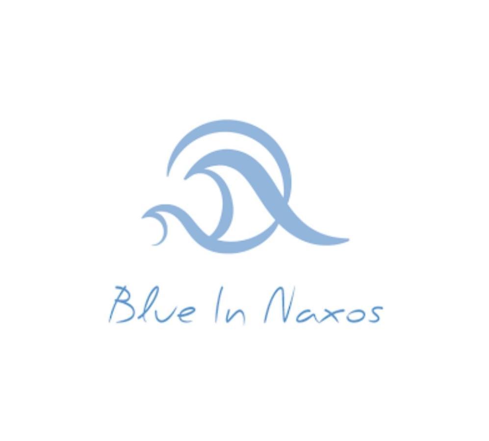 Blue In Naxos Hotel Naxos City Eksteriør billede